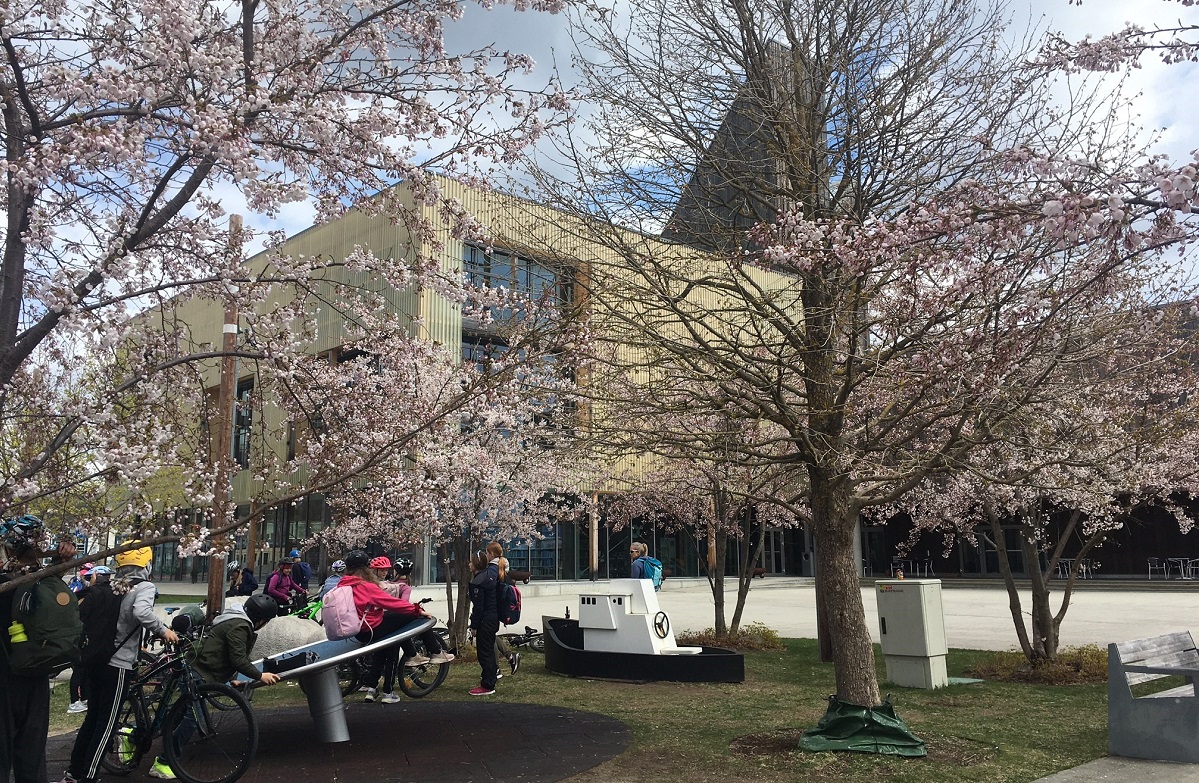 Vårblomstring - Bok & Blueshusets